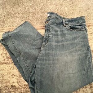 Loft Plus Light Blue Denim Jeans